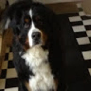 Meet your Posher, Chantal